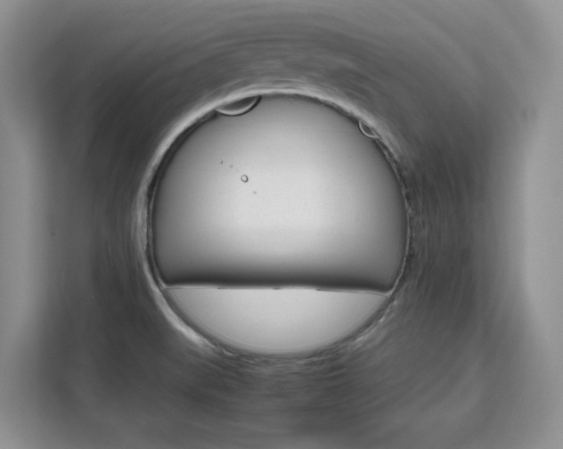 X0000111531519200907141246