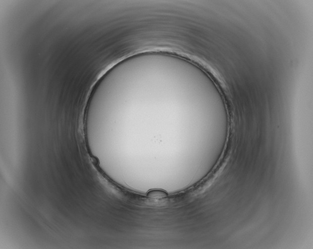 X0000111531521200907141246