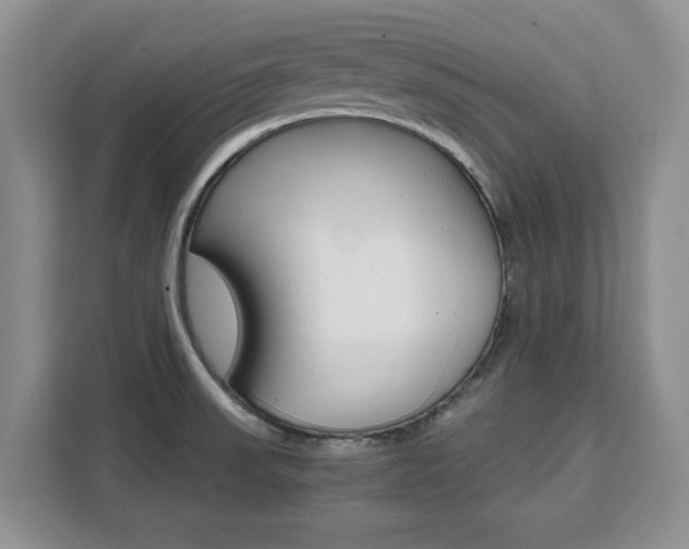 X0000111531523200907141246