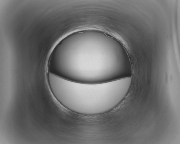 X0000111531524200907141246