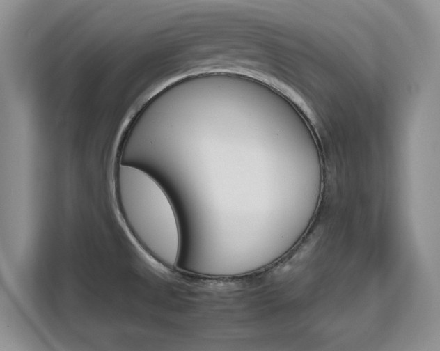 X0000111531525200907141246