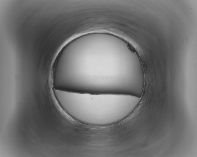 X0000111531526200907141246