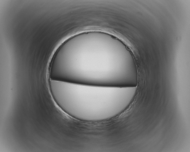 X0000111531527200907141246
