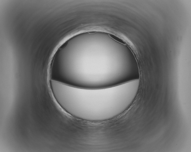 X0000111531528200907141246
