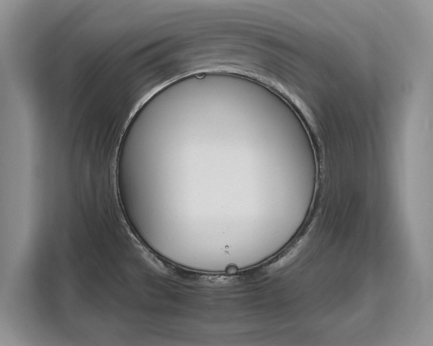 X0000111531529200907141246