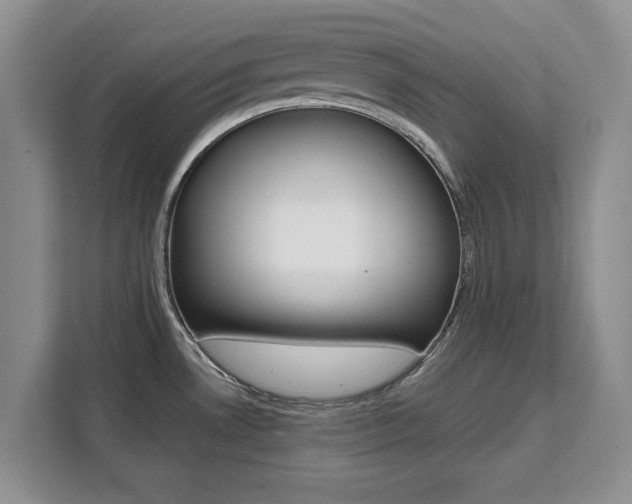 X0000111531530200907141246