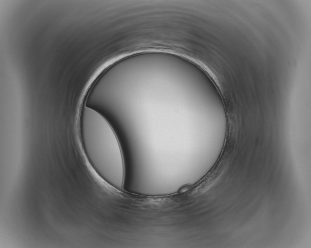 X0000111531531200907141246