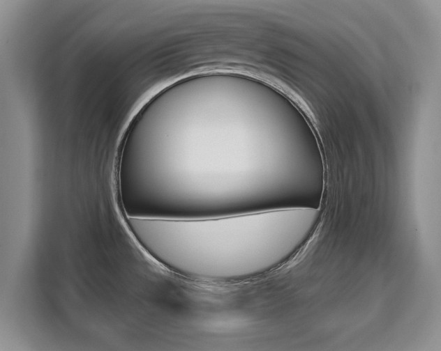 X0000111531533200907141246