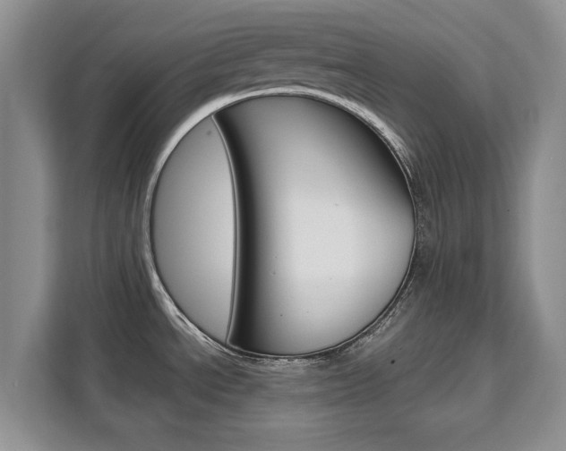 X0000111531534200907141246