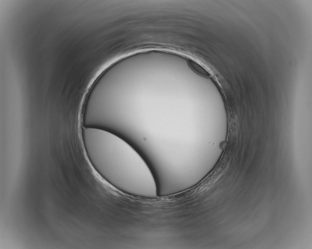 X0000111531535200907141246