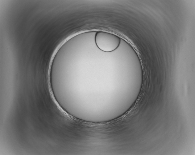 X0000111531536200907141246