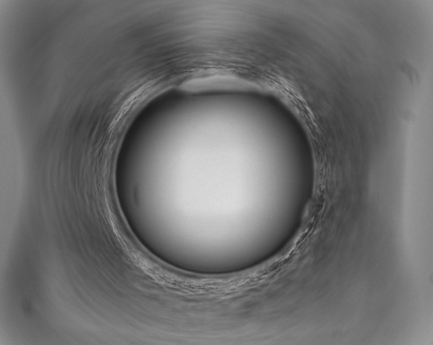 X0000111530001200907141537