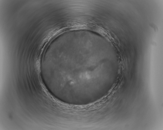 X0000111530002200907141537