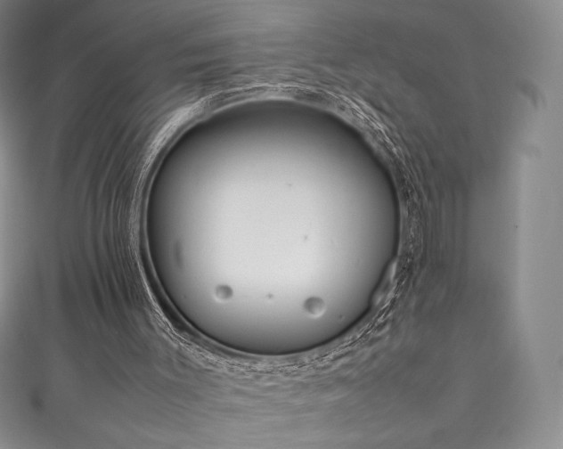 X0000111530003200907141537