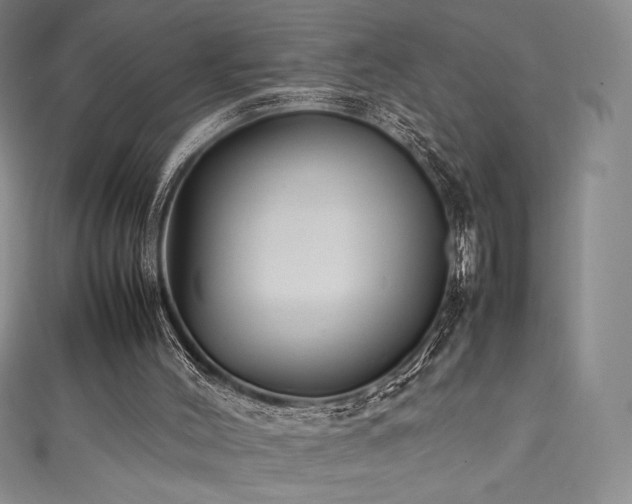 X0000111530004200907141537