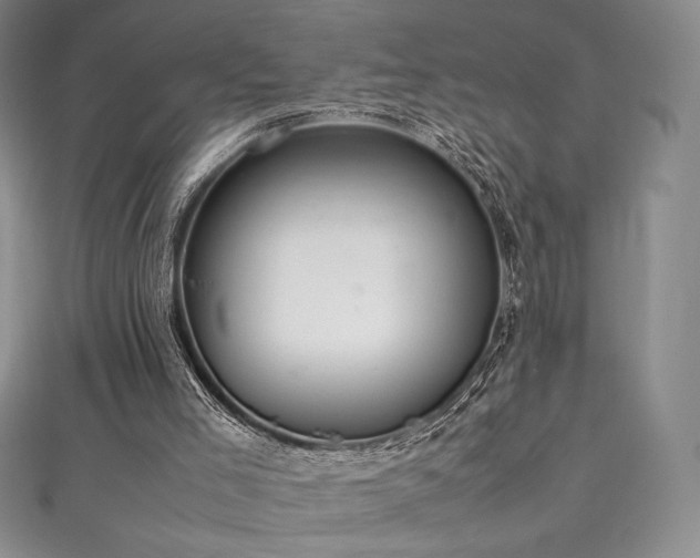 X0000111530005200907141537