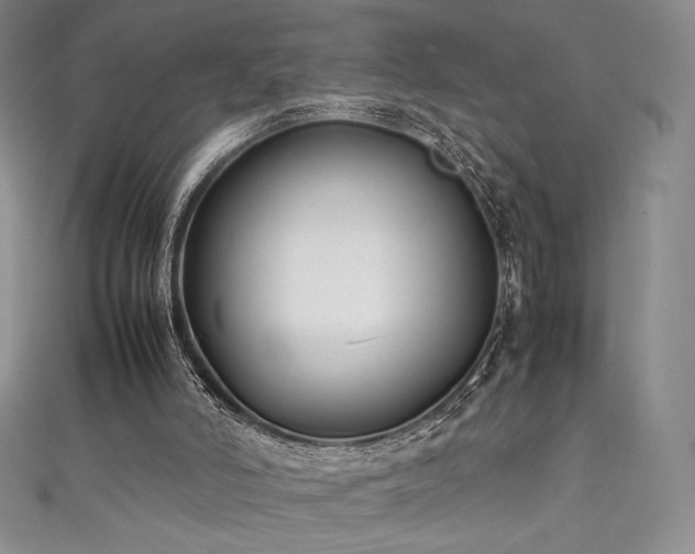 X0000111530006200907141537