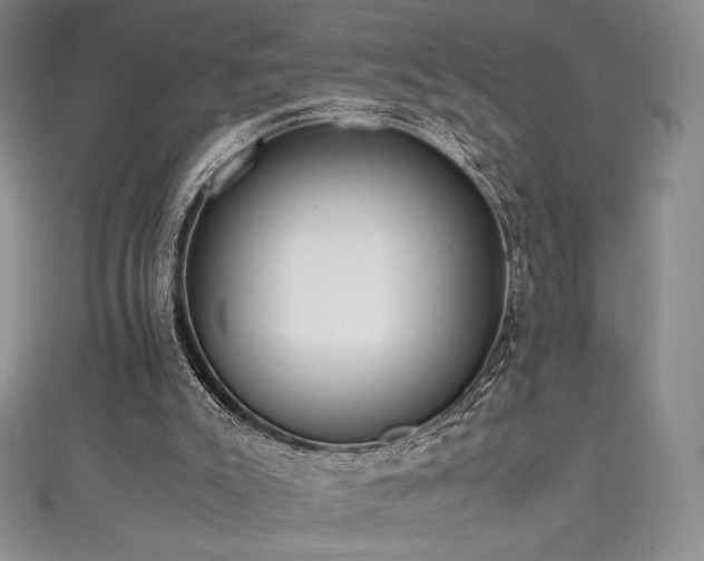 X0000111530007200907141537