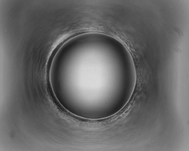 X0000111530008200907141537