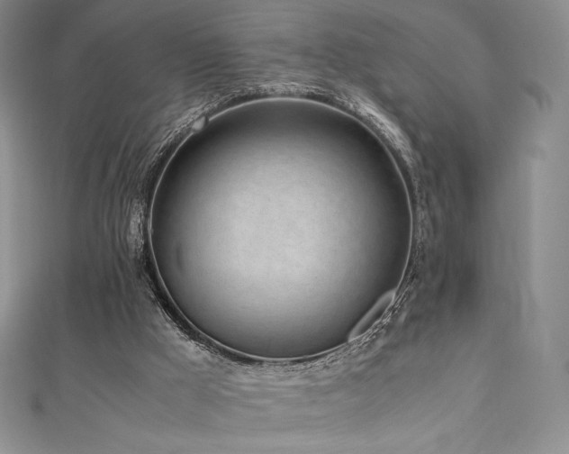 X0000111530009200907141537