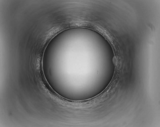 X0000111530010200907141537