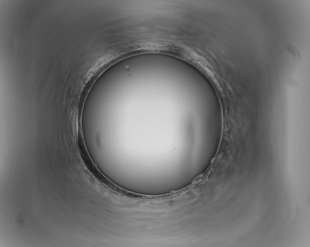 X0000111530011200907141537