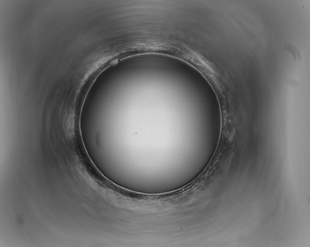 X0000111530012200907141537