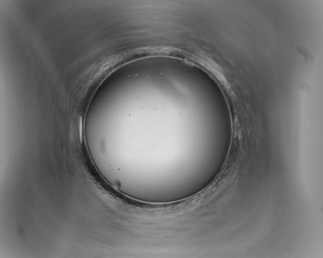 X0000111530013200907141537