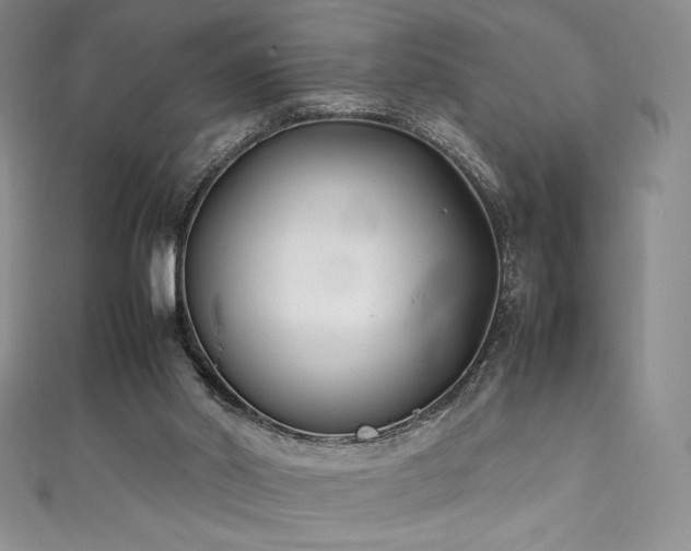 X0000111530014200907141537