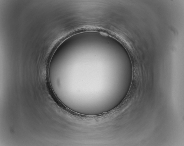 X0000111530015200907141537