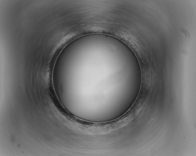 X0000111530016200907141537