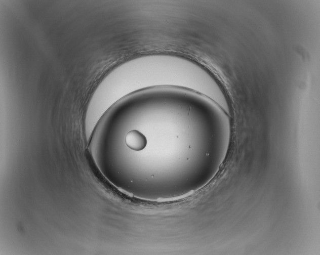 X0000111530017200907141537