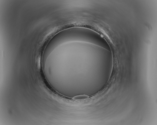 X0000111530019200907141537