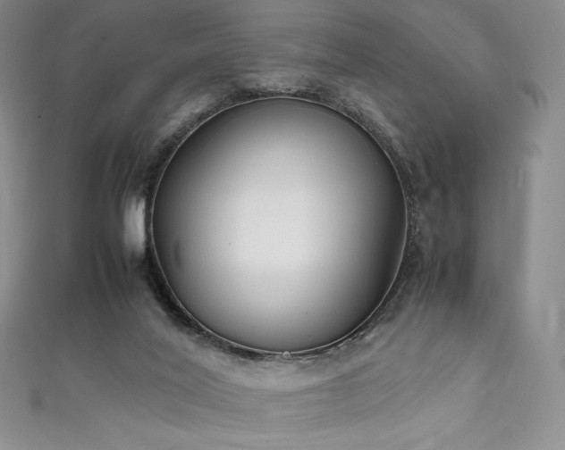 X0000111530020200907141537