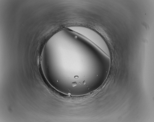 X0000111530021200907141537