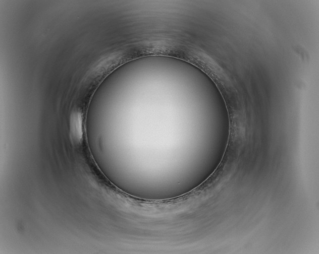 X0000111530022200907141537