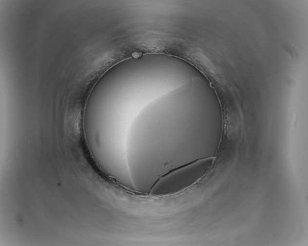 X0000111530023200907141537