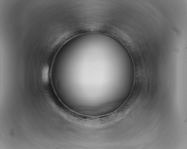 X0000111530024200907141537