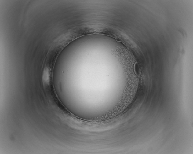 X0000111530026200907141537