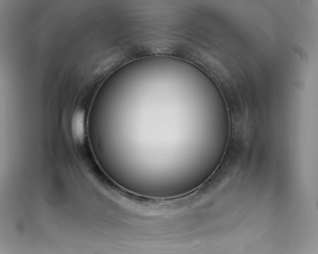 X0000111530028200907141537