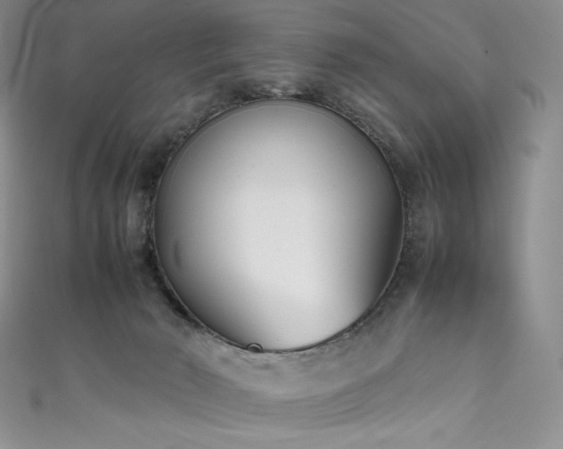 X0000111530030200907141537