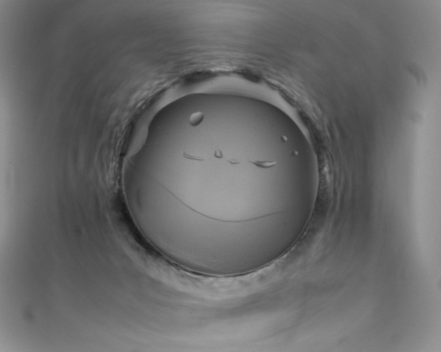 X0000111530031200907141537