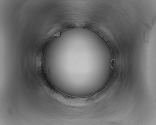 X0000111530032200907141537