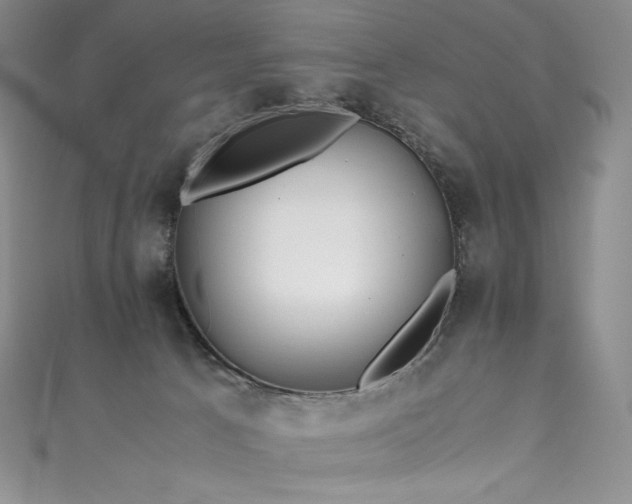 X0000111530033200907141537