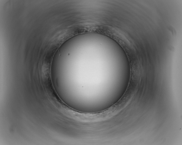 X0000111530034200907141537