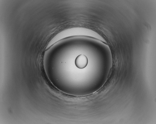 X0000111530036200907141537