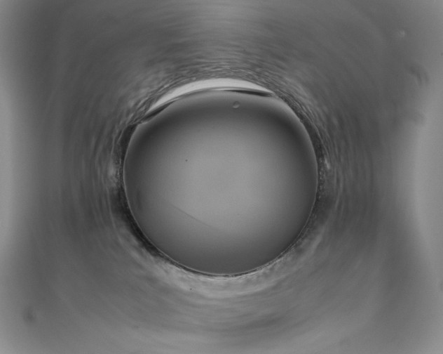 X0000111530039200907141537