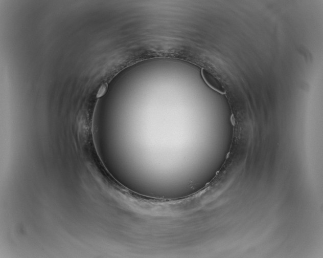 X0000111530040200907141537