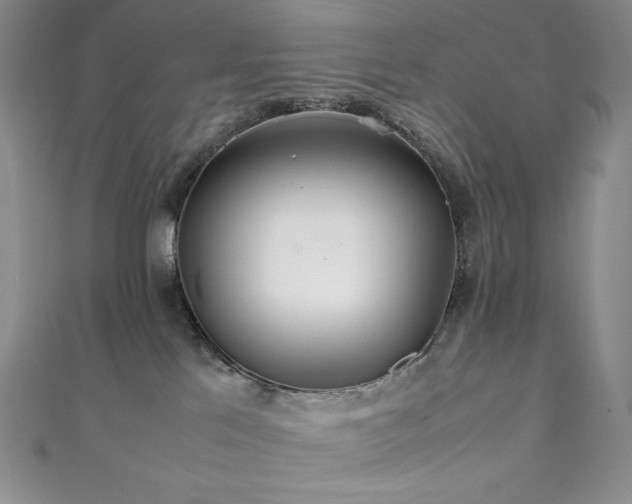 X0000111530041200907141537