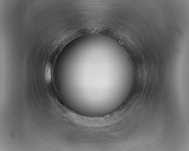 X0000111530042200907141537